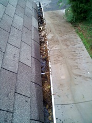 Get Your Dirty Gutters Cleaned by Norcross's Best Gutter Cleaners